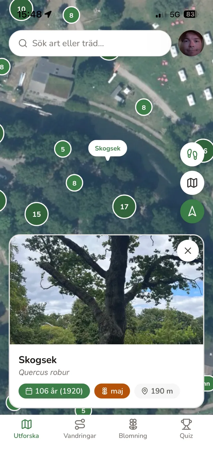 Kartan i flygfoto med en skogsek vald: art, ålder, blomningsmånad och avstånd.