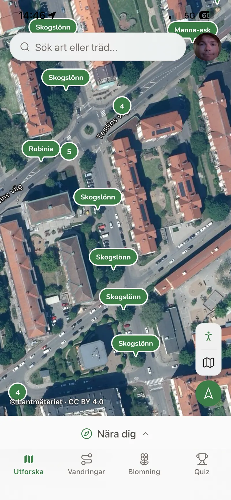 Kartan i flygfoto med trädens namn vid träden.