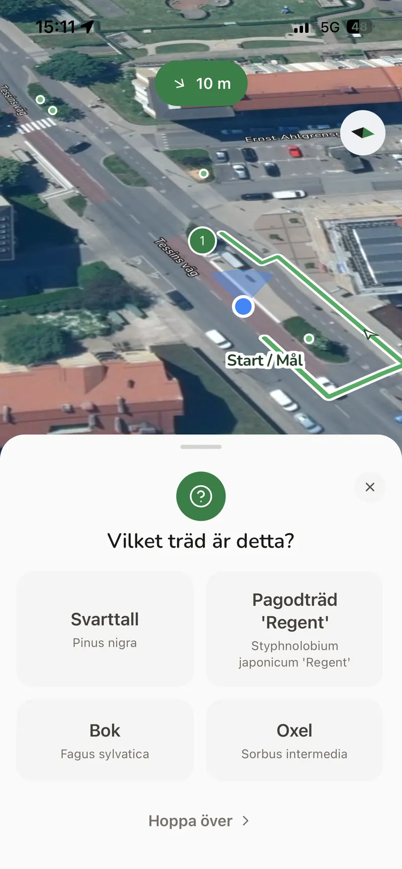 Artquizet frågar vilket träd det är, med fyra arter att välja mellan.