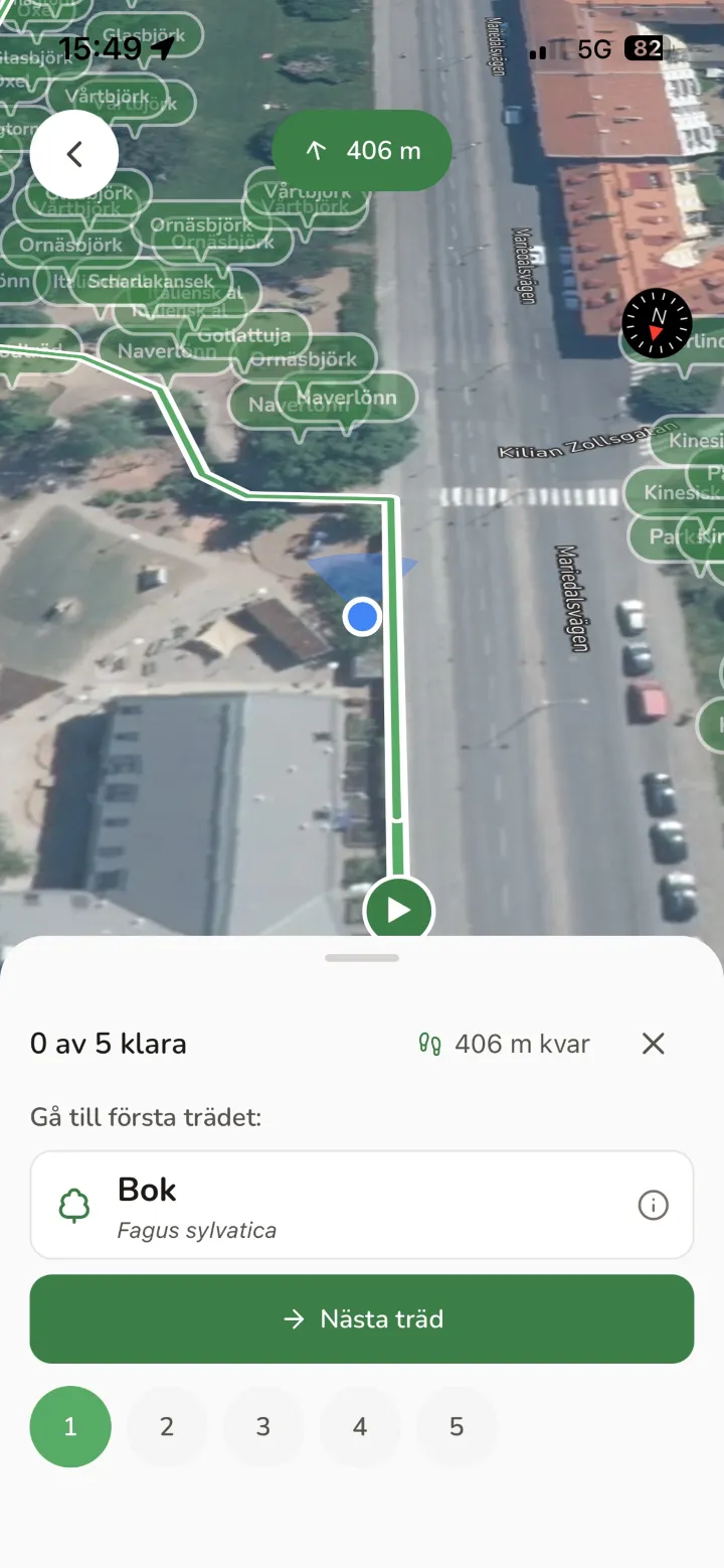 En trädvandring på kartan med rutten utritad och nästa träd framme.